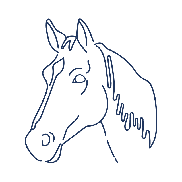 Equine