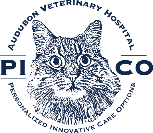 PICO Logo final